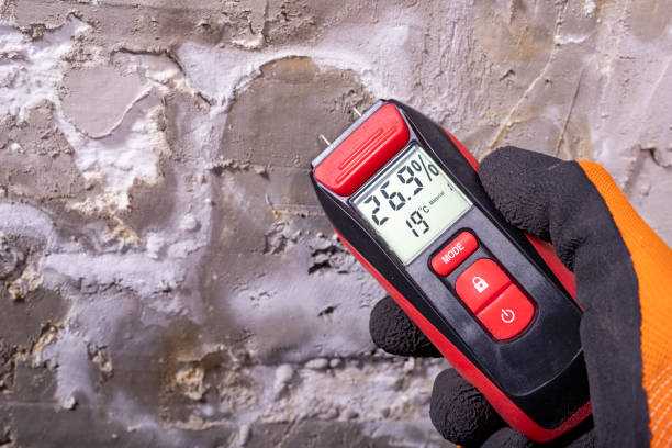 Best Industrial Mold Remediation in Seguin, TX